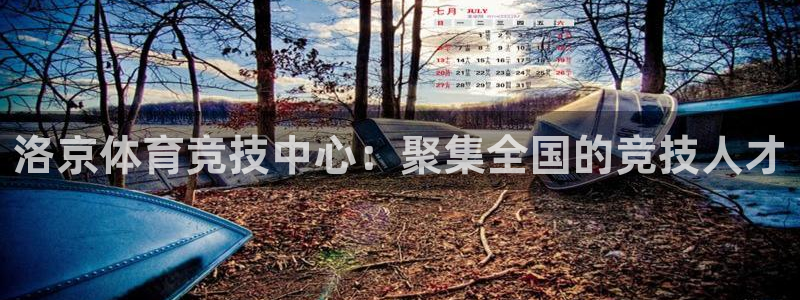 尊龙官方正版app娱乐首页网站大全:洛京体育竞技中心:聚集全