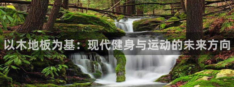 尊龙官网下载招商:以木地板为基:现代健身与运动的未来方向